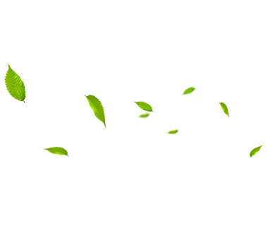 MHL Power Dongfang Booler Co., Ltd. (MHDB)