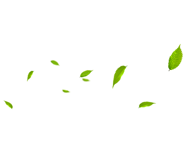 MHL Power Dongfang Booler Co., Ltd. (MHDB)