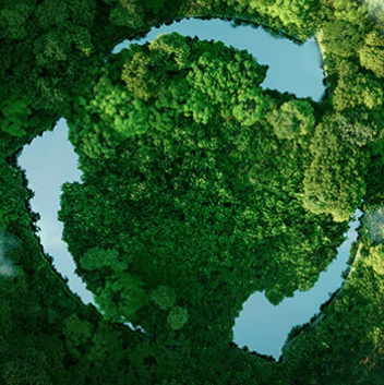 MHL Power Dongfang Booler Co., Ltd. (MHDB)